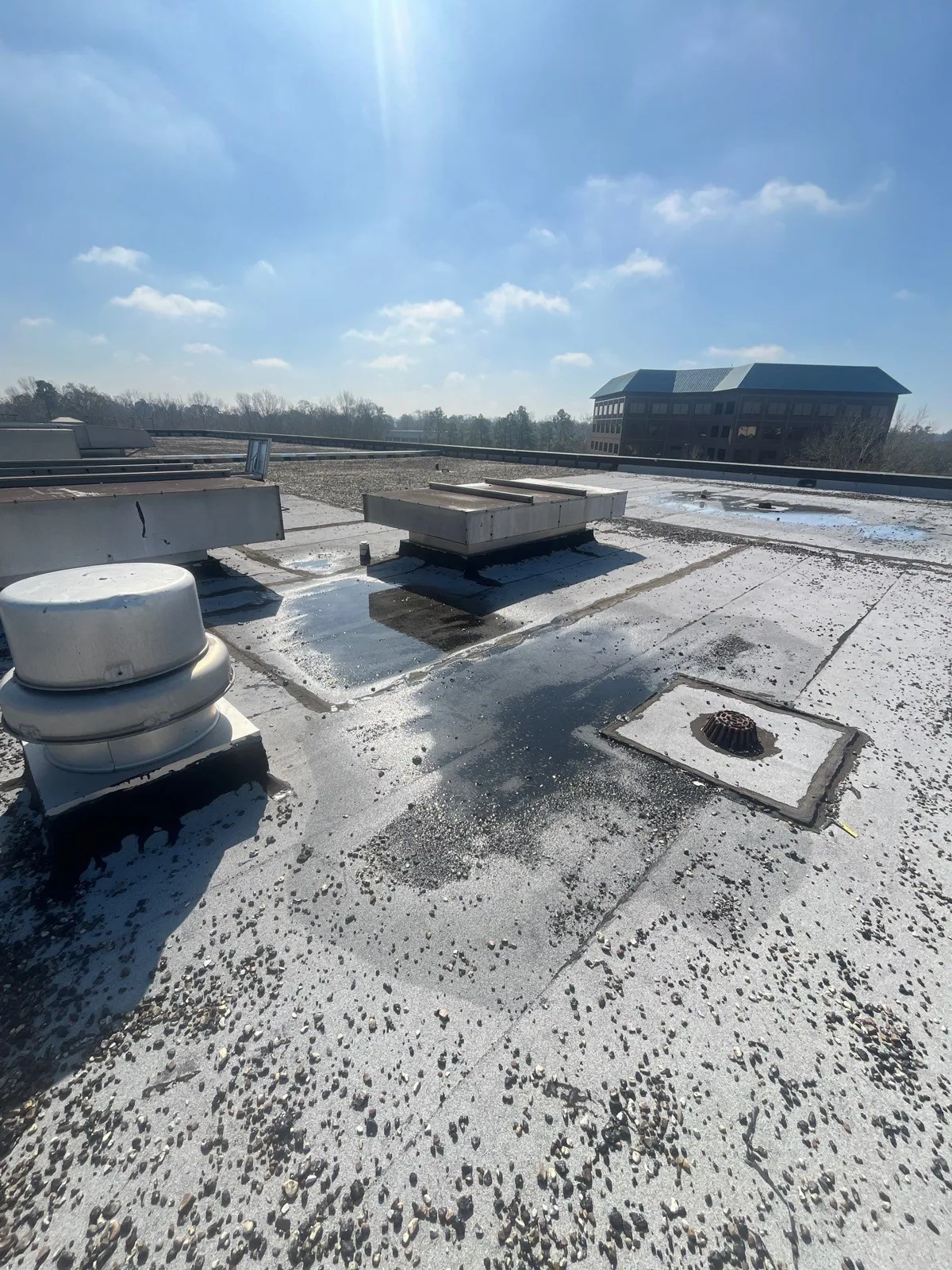 Ponding Water Roof Repair in Georgetown, TX